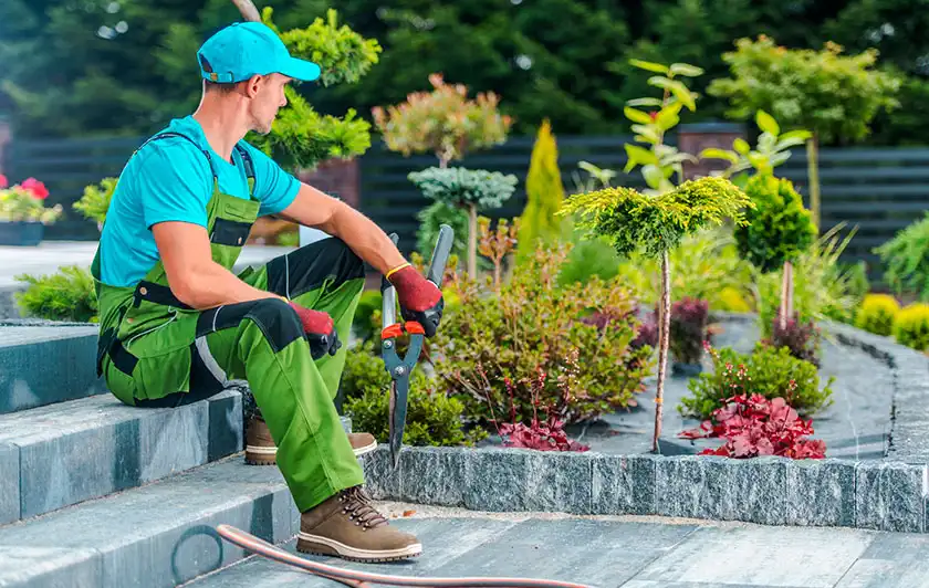 Pimentel Tree Services