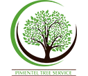 Pimentel Tree Services