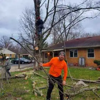 Pimentel Tree Services