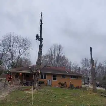 Pimentel Tree Services