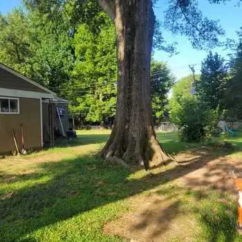 Pimentel Tree Services